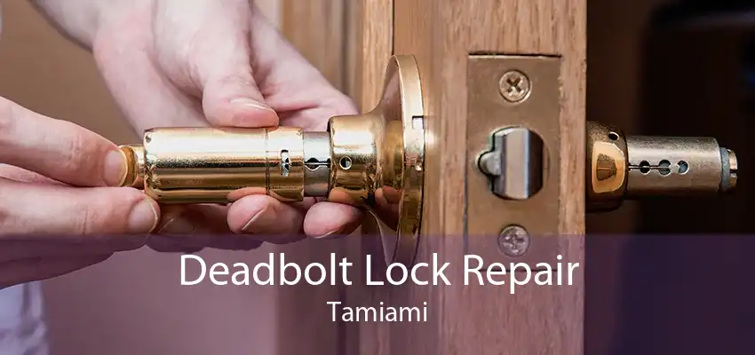 Deadbolt Lock Repair Tamiami