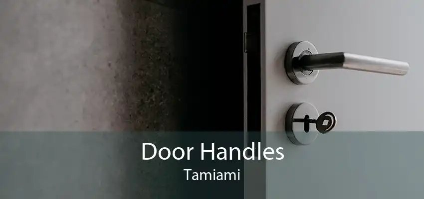Door Handles Tamiami
