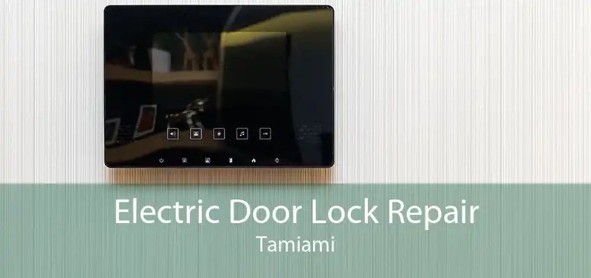 Electric Door Lock Repair Tamiami