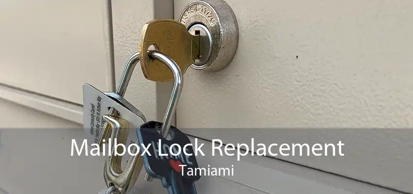 Mailbox Lock Replacement Tamiami