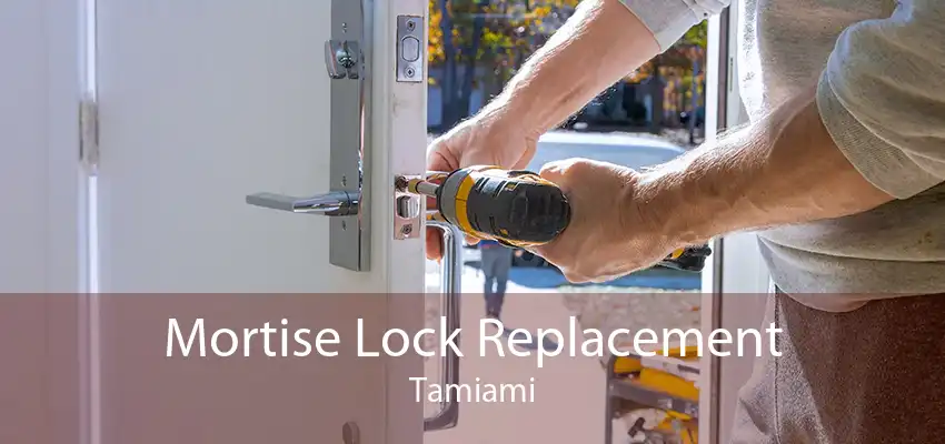 Mortise Lock Replacement Tamiami