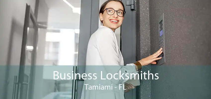 Business Locksmiths Tamiami - FL