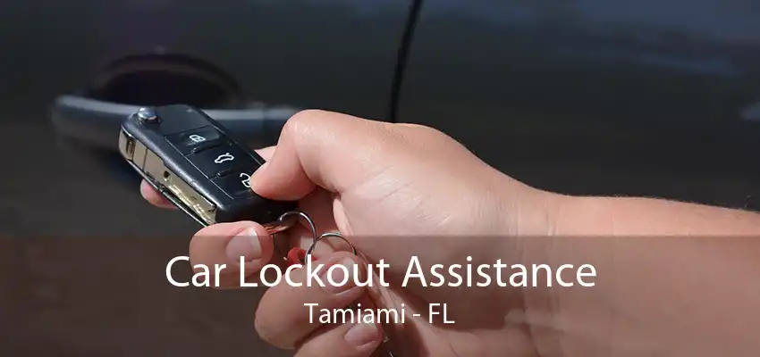 Car Lockout Assistance Tamiami - FL