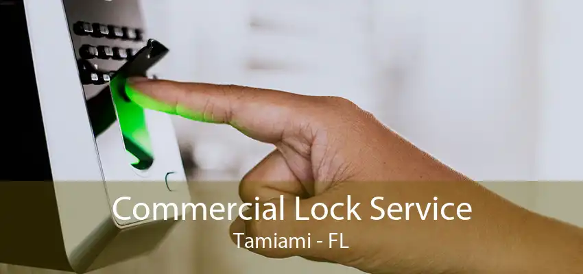 Commercial Lock Service Tamiami - FL