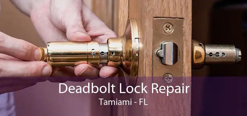 Deadbolt Lock Repair Tamiami - FL