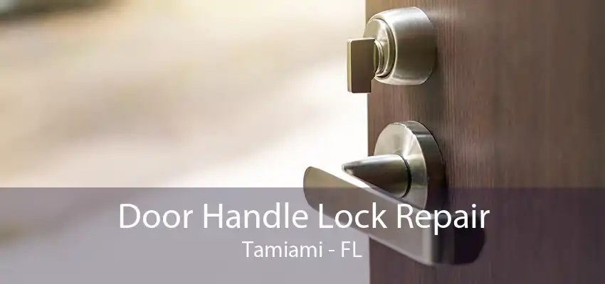 Door Handle Lock Repair Tamiami - FL