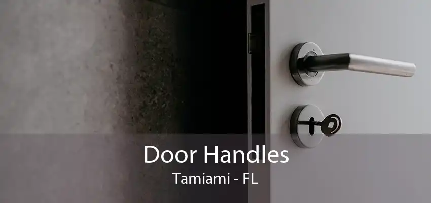 Door Handles Tamiami - FL