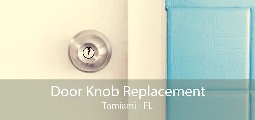 Door Knob Replacement Tamiami - FL