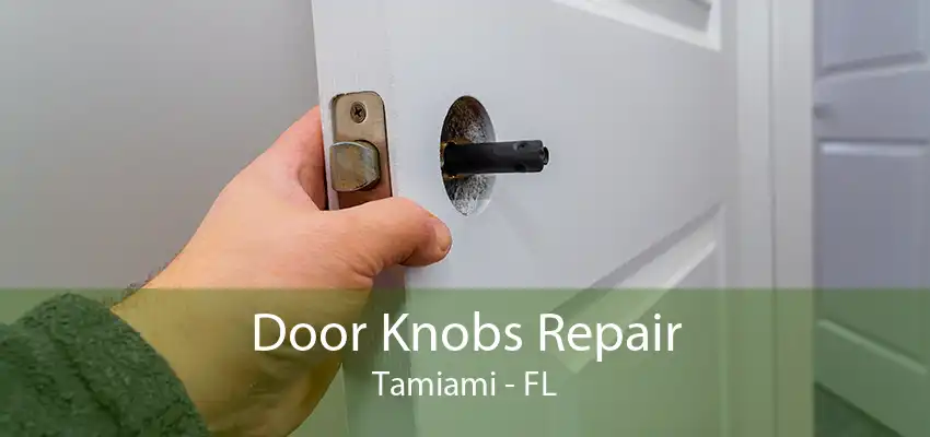 Door Knobs Repair Tamiami - FL