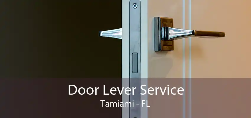 Door Lever Service Tamiami - FL