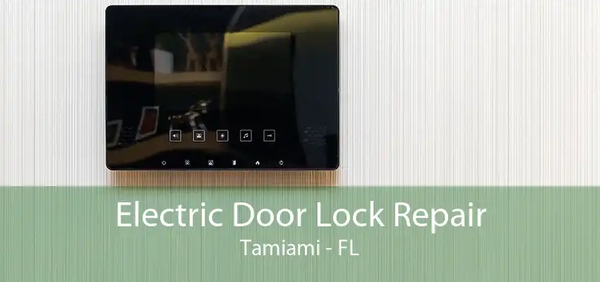 Electric Door Lock Repair Tamiami - FL