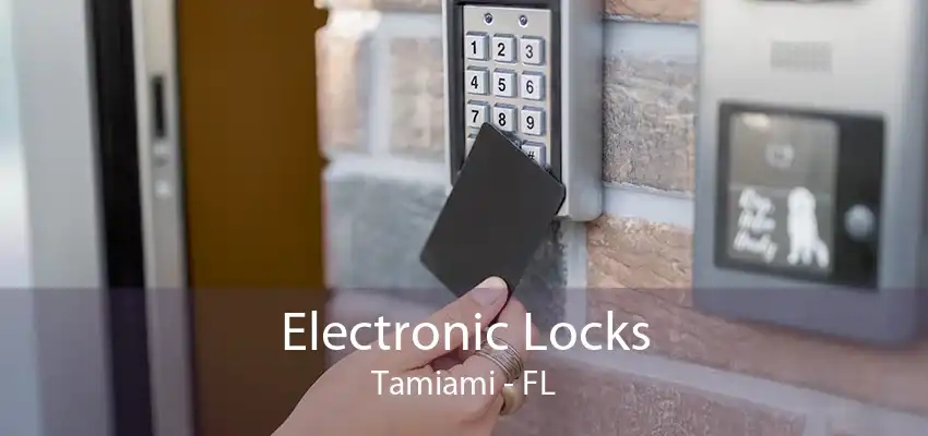 Electronic Locks Tamiami - FL