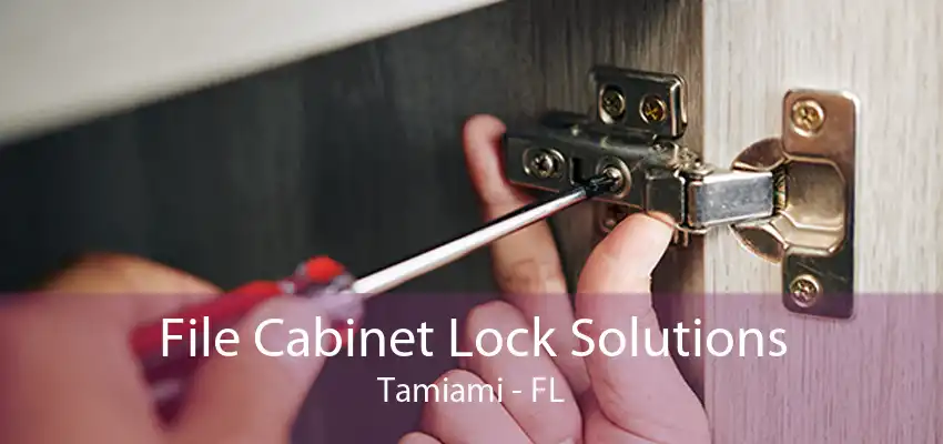 File Cabinet Lock Solutions Tamiami - FL