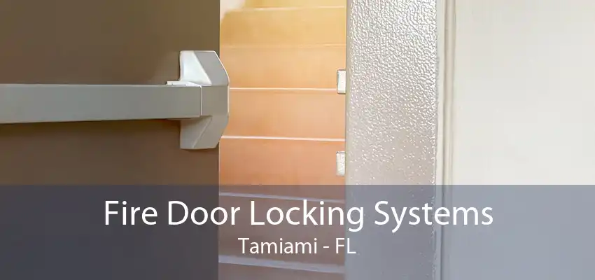 Fire Door Locking Systems Tamiami - FL
