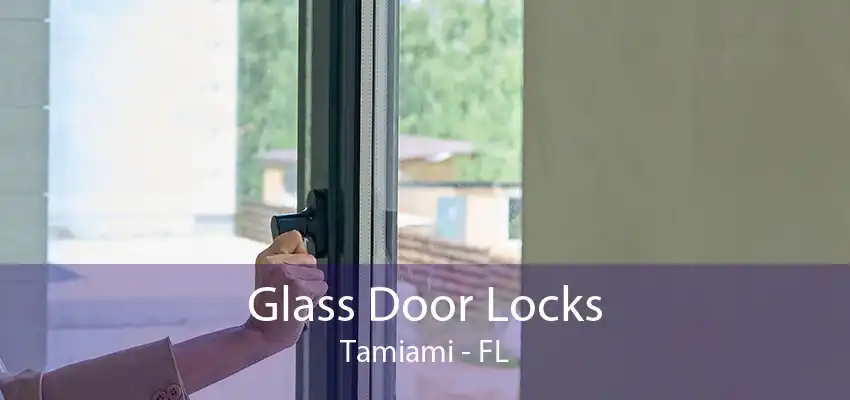 Glass Door Locks Tamiami - FL