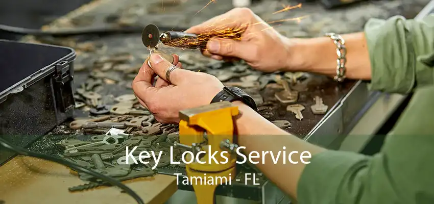 Key Locks Service Tamiami - FL