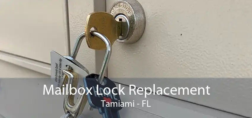 Mailbox Lock Replacement Tamiami - FL