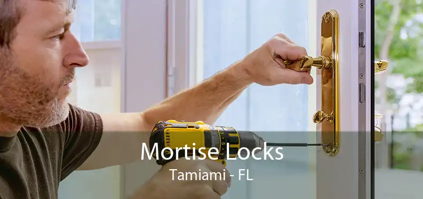 Mortise Locks Tamiami - FL