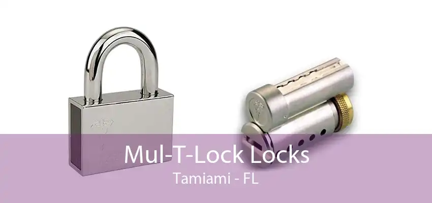 Mul-T-Lock Locks Tamiami - FL