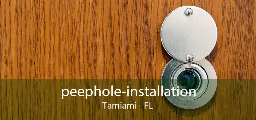 peephole-installation Tamiami - FL