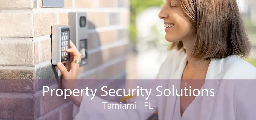 Property Security Solutions Tamiami - FL