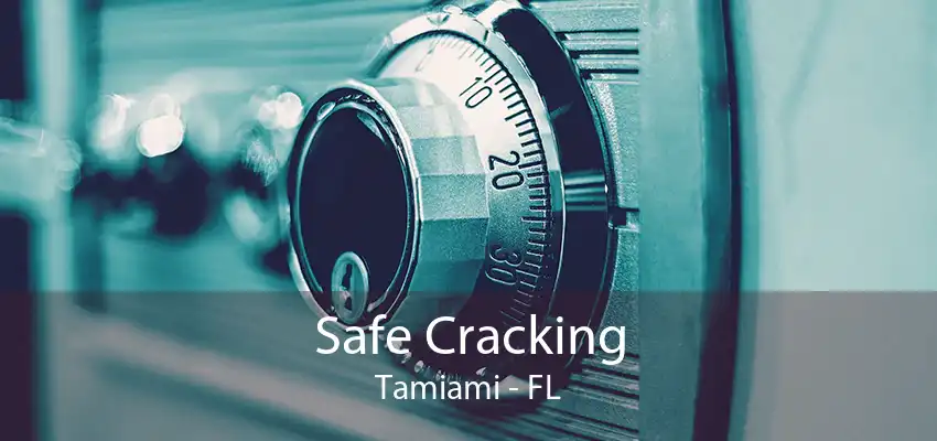Safe Cracking Tamiami - FL