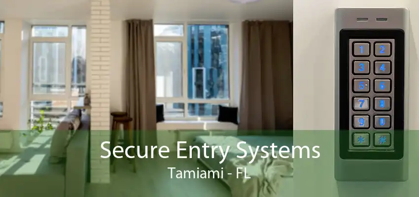 Secure Entry Systems Tamiami - FL