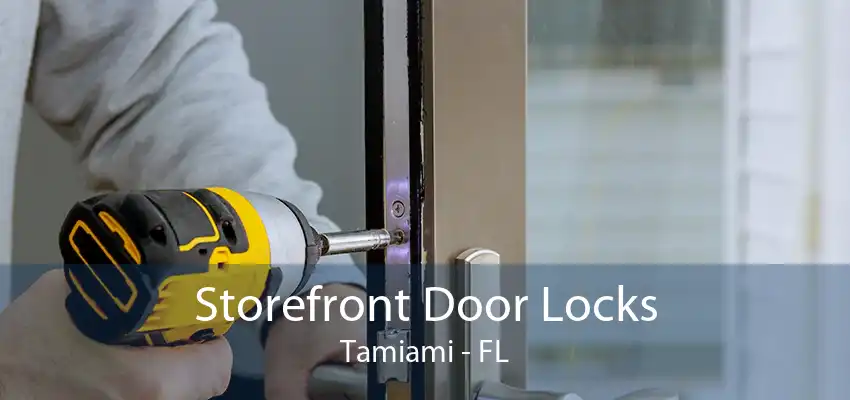 Storefront Door Locks Tamiami - FL