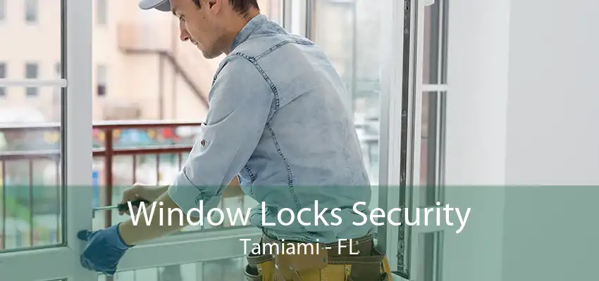 Window Locks Security Tamiami - FL